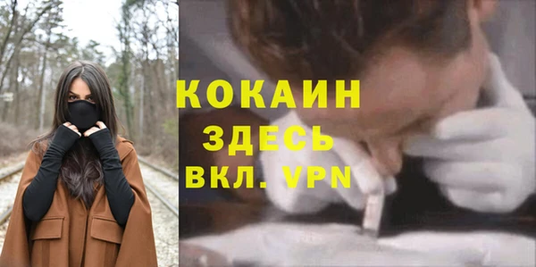 a pvp Аркадак