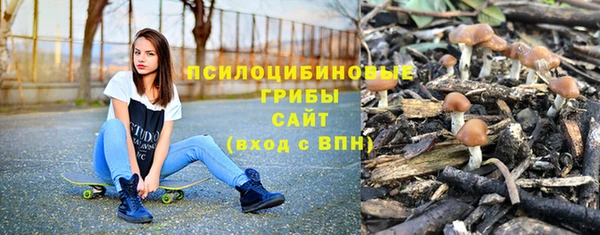 мескалин Арсеньев