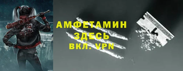 прущие грибы Армянск