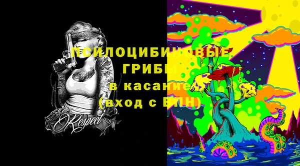 a pvp Аркадак