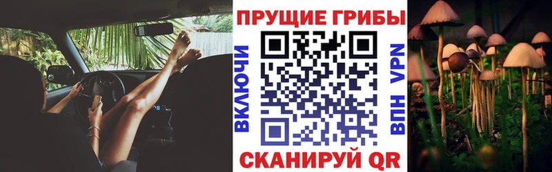 Галлюциногенные грибы Cubensis Купить закладки Грайворон