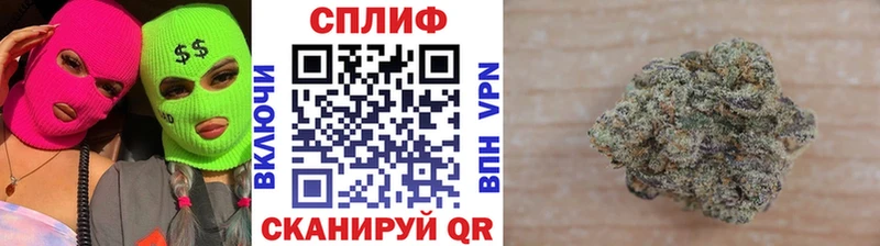 Каннабис ГИДРОПОН  Купить закладки  Грайворон 